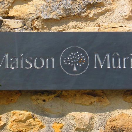 Chef-Boutonne La Maison Murier מראה חיצוני תמונה